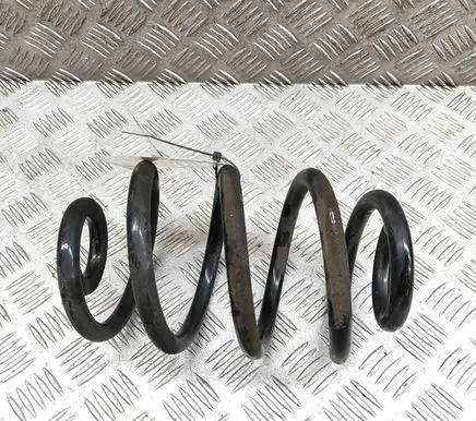 Nissan Leaf II (ZE1) Rear coil spring 550205SJ1B
