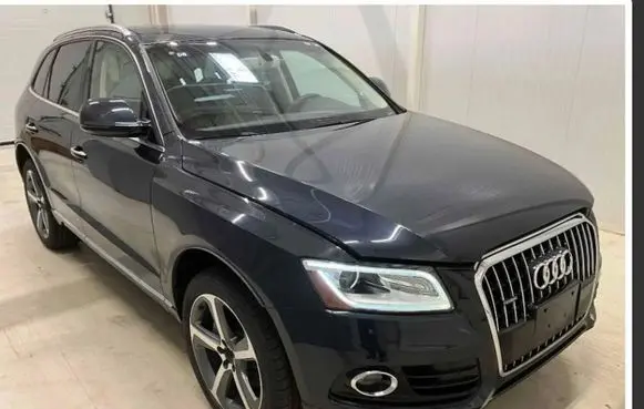 Audi Q5 SQ5 Front door LX5R