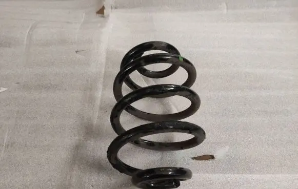 Rear coil spring