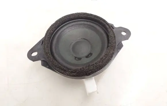 Rear door speaker