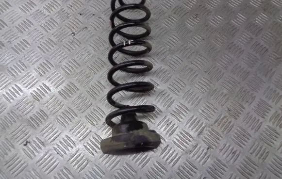 Renault Megane I Rear coil spring