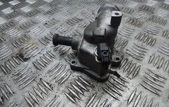 Thermostat/thermostat housing