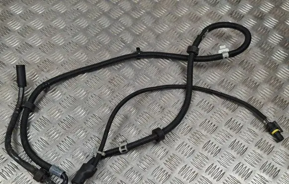 Other wiring loom