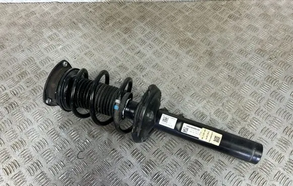 Front shock absorber with coil spring