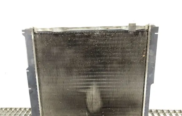 Mercedes-Benz E W124 Coolant radiator