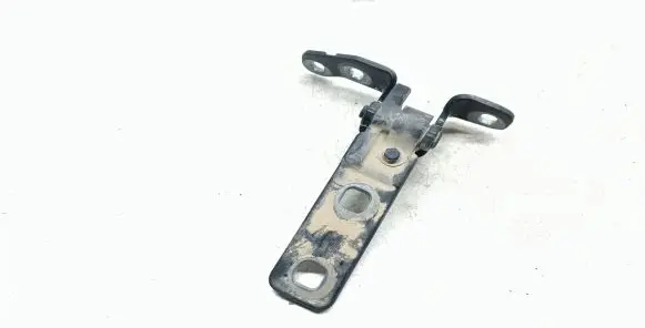 BMW X5 E70 Tailgate/trunk/boot hinge 7149627