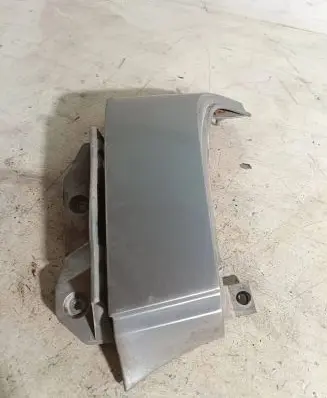 Rear/tail light trim molding