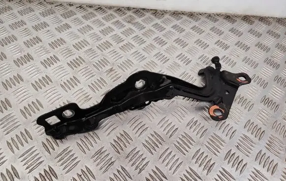 Ford Mustang Mach-E Engine bonnet/hood hinges LJ8BR16C964AE