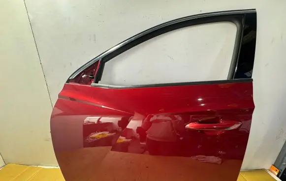 Hyundai Tucson IV NX4 Front door