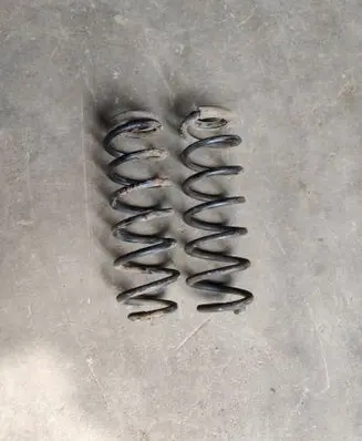 Rear coil spring