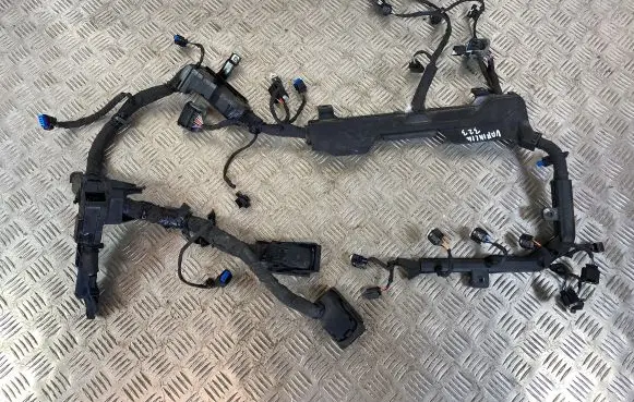 KIA Sportage Engine installation wiring loom