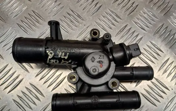 Thermostat/thermostat housing
