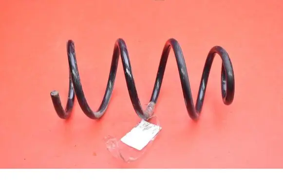 Rear coil spring