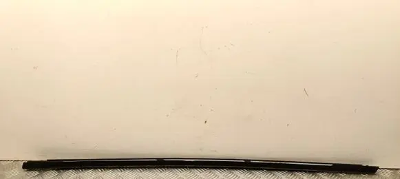 Volvo XC40 Front door glass trim molding 31864029