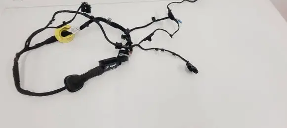 BMW iX Rear door wiring loom 04358618