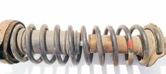 Rear coil spring