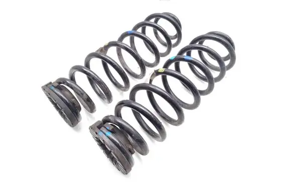Rear coil spring