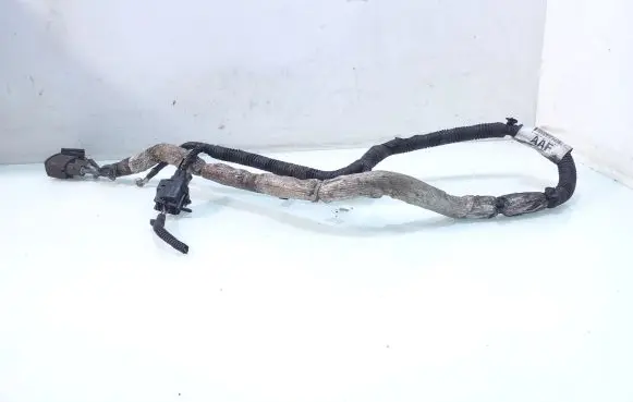 Other wiring loom