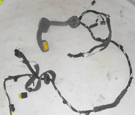 Renault Laguna III Front door wiring loom 241243343R