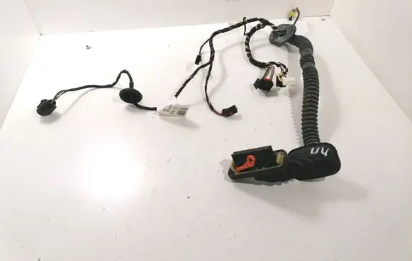 Front door wiring loom