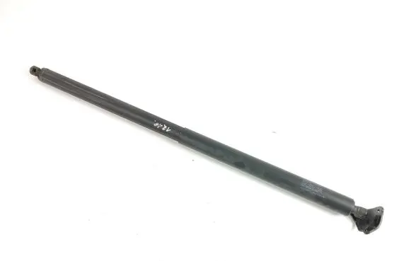 Tesla Model X Tailgate/trunk strut/damper