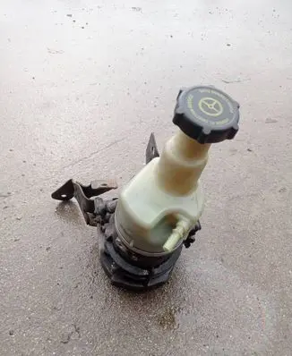 Electric power steering pump