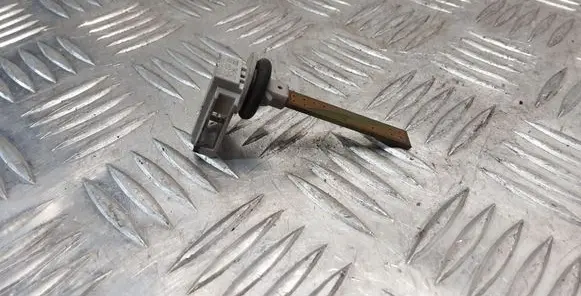 Interior temperature sensor