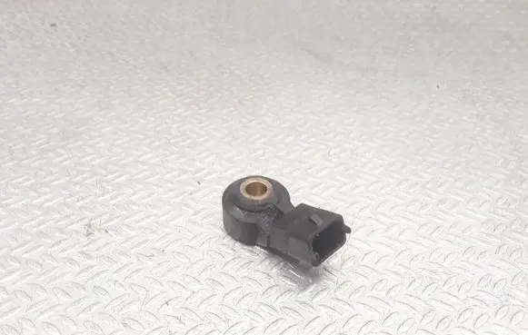 Porsche Cayenne (9PA) Detonation knock sensor 0261231148