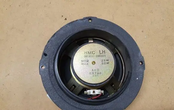 Hyundai Santa Fe Rear door speaker 963002B000