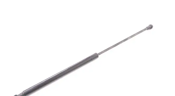 Tailgate/trunk strut/damper