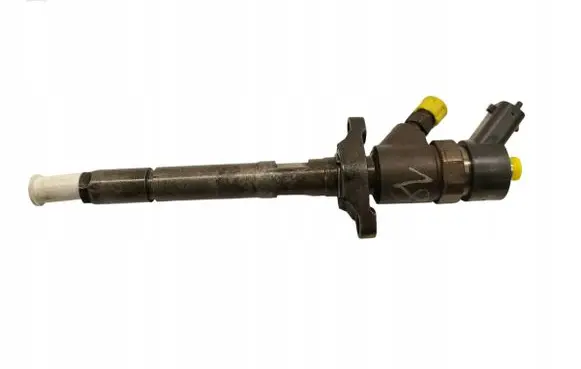 Peugeot Partner Fuel injector 0445110259
