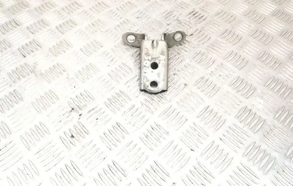 Hyundai Santa Fe Tailgate/trunk/boot hinge