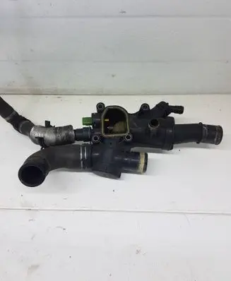Thermostat/thermostat housing