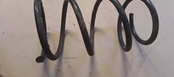 Front coil spring