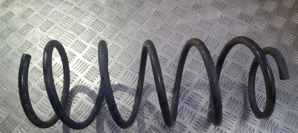 Front coil spring
