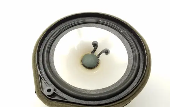 Honda Civic IX Rear door speaker