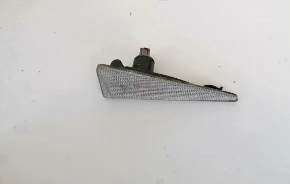 Front fender indicator light