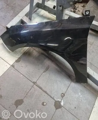 Ford Focus Fender 