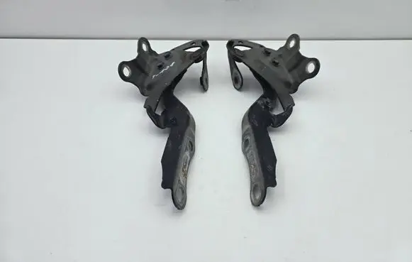Lexus RX 450H Engine bonnet/hood hinges 