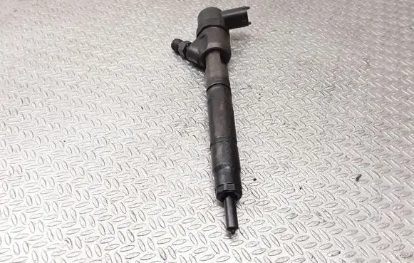 Hyundai i30 Fuel injector 0445110256 338002A400