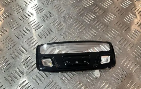 BMW 5 G30 G31 G38 Headlining lighting console trim TM21804