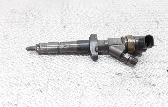 Renault Espace - Grand espace IV Fuel injector 8200084534