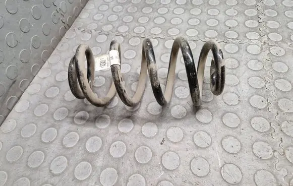 Rear coil spring