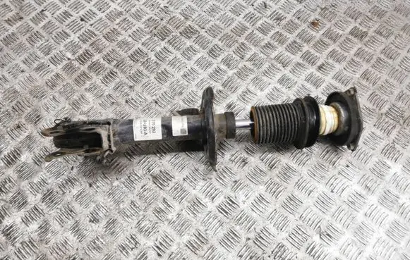 Mercedes-Benz A W169 Front shock absorber/damper 824903012967