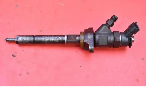 Peugeot Partner Fuel injector 0445110311