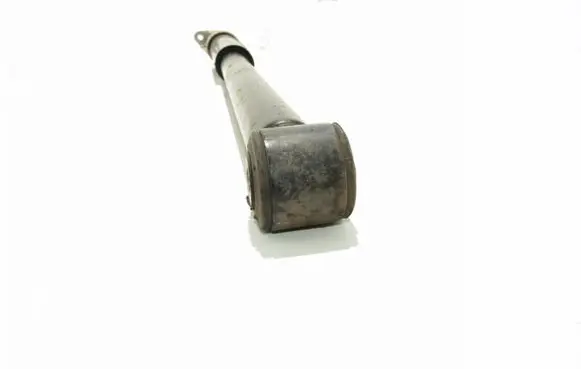 Ford Fiesta Rear shock absorber/damper