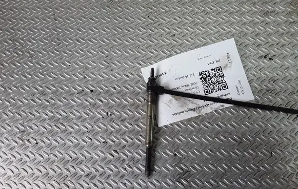 Citroen C5 Glow plug 0100226344
