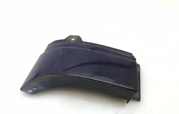 Rear/tail light trim molding