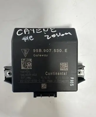 Porsche Cayenne (92A) Gateway control module 95B907530E 8130500 3F015029