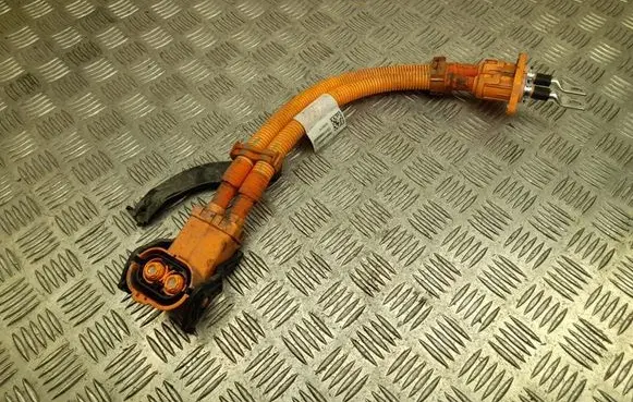 Other wiring loom